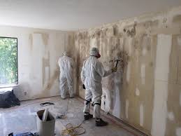 Best Asbestos and Lead Testing During Mold Inspection  in Monmouth Beach, NJ